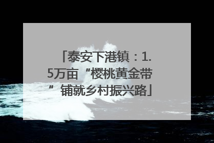 泰安下港镇：1.5万亩“樱桃黄金带”铺就乡村振兴路