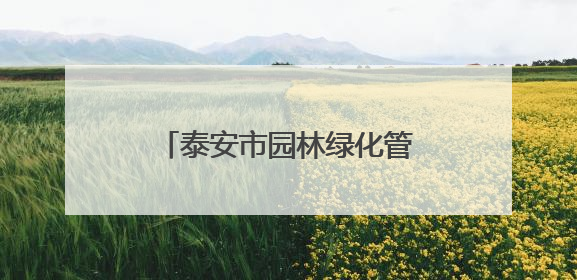 泰安市园林绿化管理服务中心精修细剪护绿焕新城市容颜