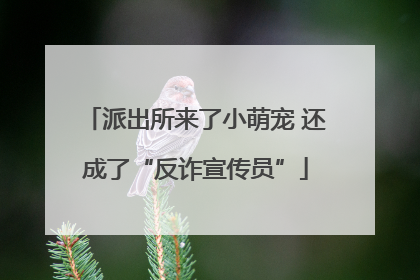 派出所来了小萌宠 还成了“反诈宣传员”