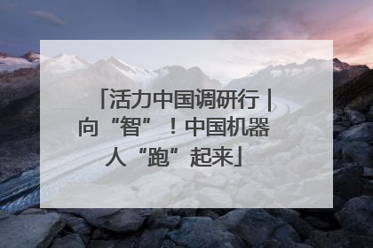 活力中国调研行｜向“智”！中国机器人“跑”起来