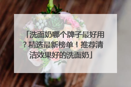 洗面奶哪个牌子最好用？精选最新榜单！推荐清洁效果好的洗面奶