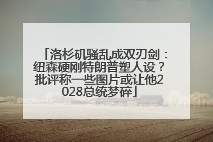 洛杉矶骚乱成双刃剑：纽森硬刚特朗普塑人设？批评称一些图片或让他2028总统梦碎