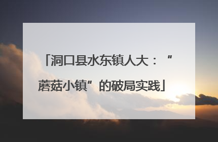 洞口县水东镇人大：“蘑菇小镇”的破局实践