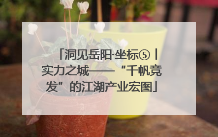 洞见岳阳·坐标⑤丨实力之城——“千帆竞发”的江湖产业宏图