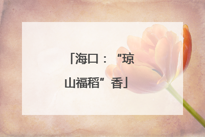 海口：“琼山福稻”香