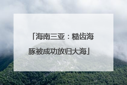 海南三亚：糙齿海豚被成功放归大海