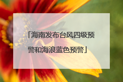海南发布台风四级预警和海浪蓝色预警