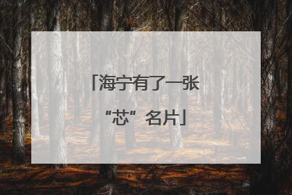 海宁有了一张“芯”名片
