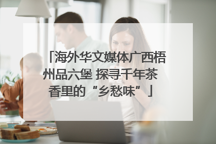 海外华文媒体广西梧州品六堡 探寻千年茶香里的“乡愁味”