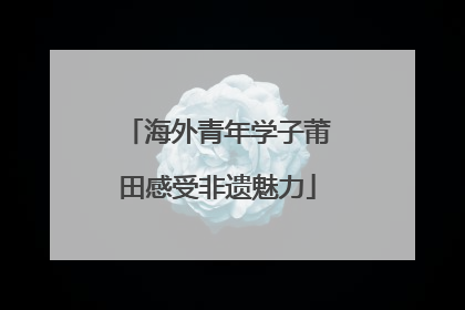 海外青年学子莆田感受非遗魅力