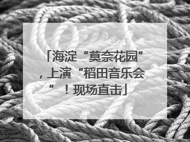 海淀“莫奈花园”，上演“稻田音乐会”！现场直击