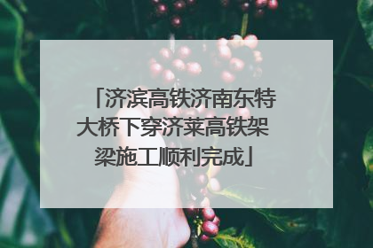 济滨高铁济南东特大桥下穿济莱高铁架梁施工顺利完成