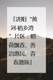 济阳“黄河·稻乡湾”片区：稻荷飘香、善治惠民、青春激扬
