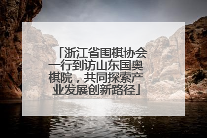 浙江省围棋协会一行到访山东国奥棋院，共同探索产业发展创新路径