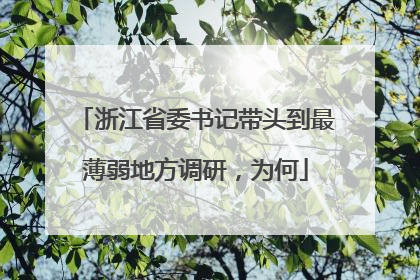 浙江省委书记带头到最薄弱地方调研，为何