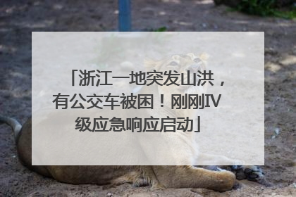 浙江一地突发山洪，有公交车被困！刚刚Ⅳ级应急响应启动