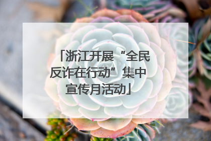 浙江开展“全民反诈在行动”集中宣传月活动