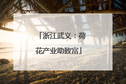 浙江武义：荷花产业助致富
