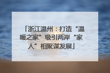 浙江温州：打造“温暖之家”吸引两岸“家人”相聚谋发展