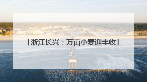 浙江长兴：万亩小麦迎丰收