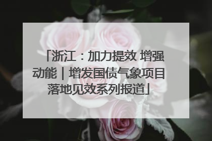 浙江：加力提效 增强动能｜增发国债气象项目落地见效系列报道