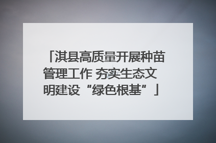 淇县高质量开展种苗管理工作 夯实生态文明建设“绿色根基”