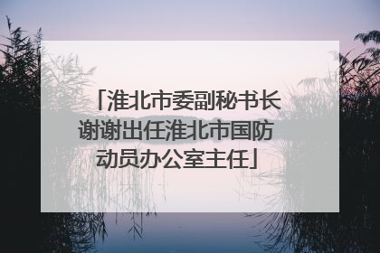 淮北市委副秘书长谢谢出任淮北市国防动员办公室主任