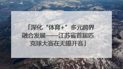 深化“体育+”多元跨界融合发展——江苏省首届匹克球大赛在无锡开赛