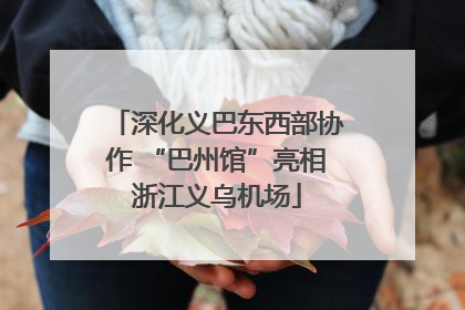 深化义巴东西部协作 “巴州馆”亮相浙江义乌机场