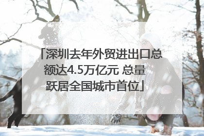 深圳去年外贸进出口总额达4.5万亿元 总量跃居全国城市首位