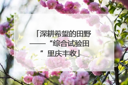 深耕希望的田野——“综合试验田”里庆丰收