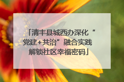 清丰县城西办深化“党建+共治”融合实践 解锁社区幸福密码