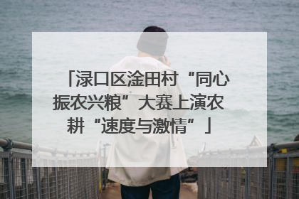 渌口区淦田村“同心振农兴粮”大赛上演农耕“速度与激情”