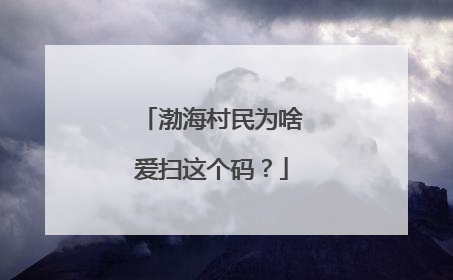 渤海村民为啥爱扫这个码？