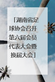 湖南省足球协会召开第六届会员代表大会暨换届大会