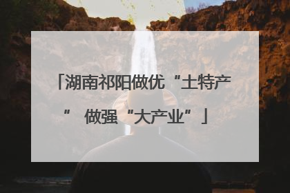 湖南祁阳做优“土特产” 做强“大产业”