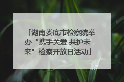 湖南娄底市检察院举办“携手关爱 共护未来”检察开放日活动