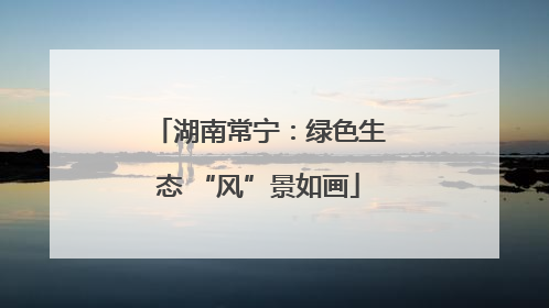 湖南常宁：绿色生态 “风”景如画