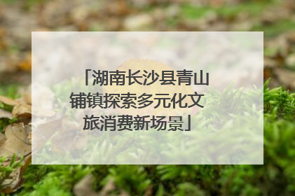 湖南长沙县青山铺镇探索多元化文旅消费新场景