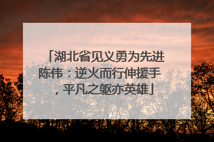 湖北省见义勇为先进陈伟：逆火而行伸援手，平凡之躯亦英雄