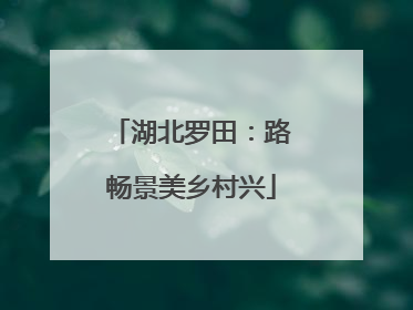 湖北罗田：路畅景美乡村兴