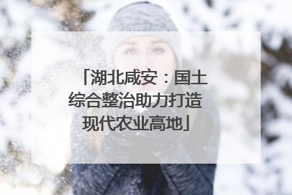 湖北咸安：国土综合整治助力打造现代农业高地