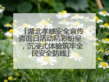 湖北孝感安全宣传咨询日活动精彩纷呈，沉浸式体验筑牢全民安全防线