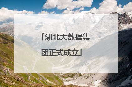 湖北大数据集团正式成立