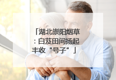 湖北崇阳烟草：白芨田间扬起丰收“号子”