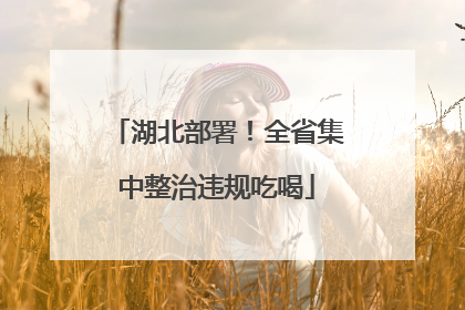 湖北部署！全省集中整治违规吃喝