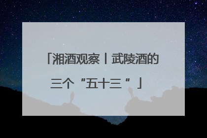 湘酒观察丨武陵酒的三个“五十三 ”