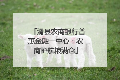滑县农商银行普惠金融一中心：农商护航粮满仓