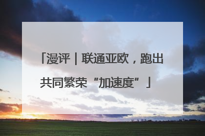 漫评｜联通亚欧，跑出共同繁荣“加速度”