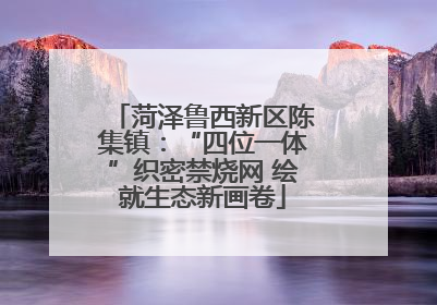 菏泽鲁西新区陈集镇：“四位一体”织密禁烧网 绘就生态新画卷